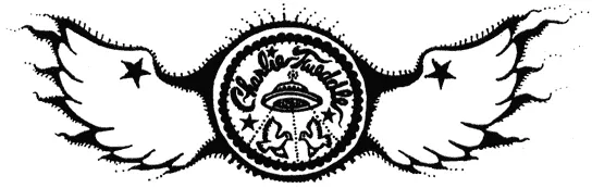Charlie Tweddle hat logo with wings